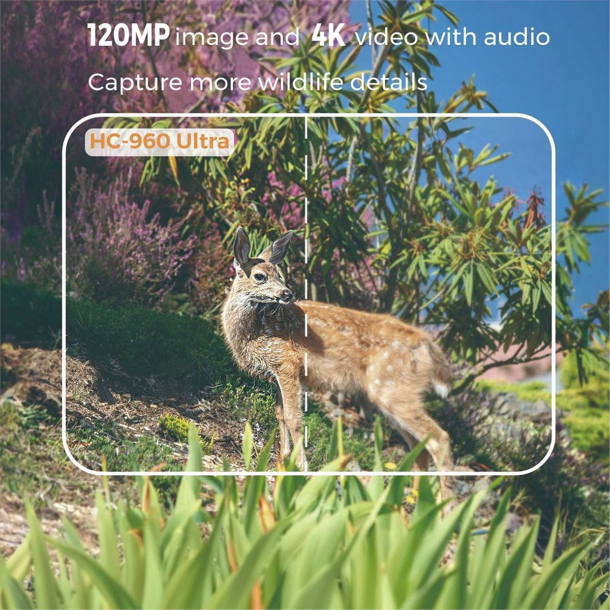 Aktualisierung. Outdoor 4G 120 – Hunting And Outdoor Shows Bewertung und Preis