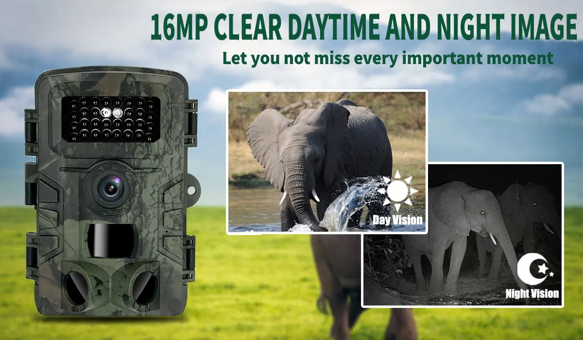 Jagd-Hinterkamera PR700 mit In – Trail Camera Infrared Bewertung und Preis